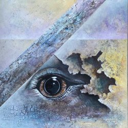 2022-06 Eye1 (50x50cm)